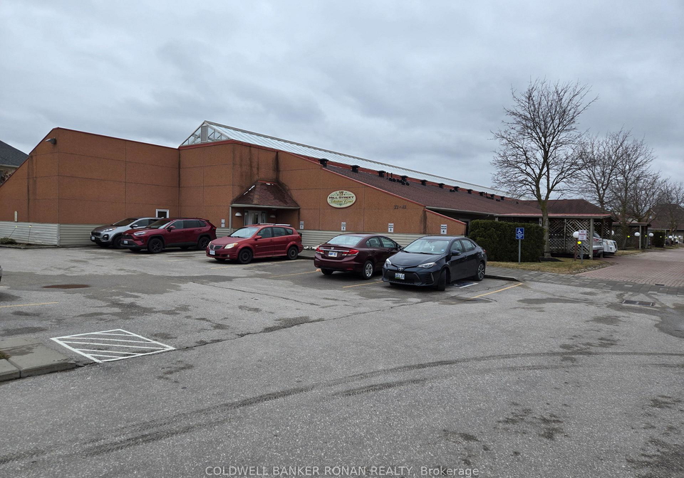 77-mill-street-new-tecumseth-ontario-n13237614