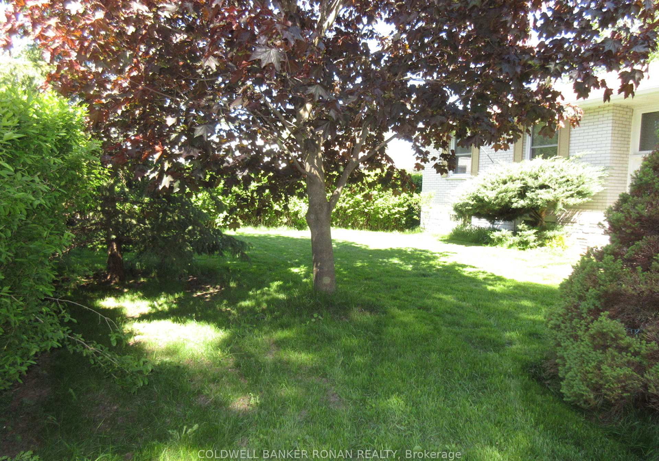 104-boyne-crescent-new-tecumseth-ontario-n13240596
