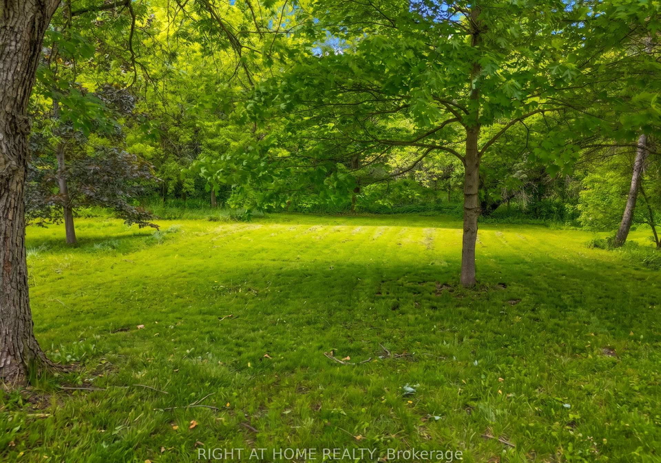 735-srigley-street-newmarket-ontario-n13243628