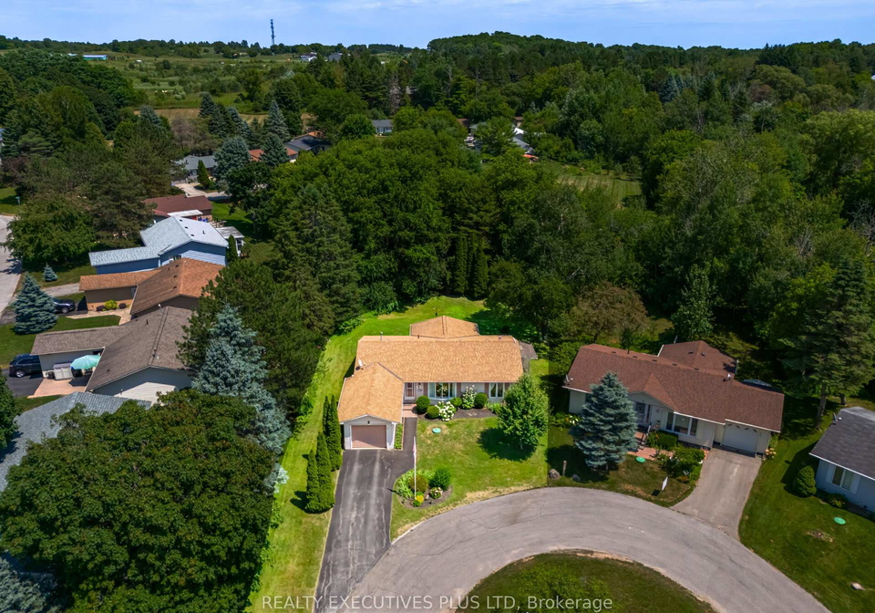 3-pineview-court-new-tecumseth-ontario-n13246030