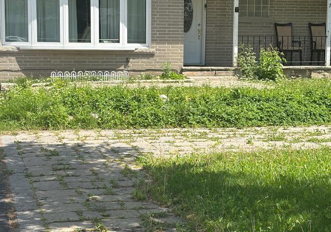 417-taylor-mills-drive-n-richmond-hill-ontario-n13251200