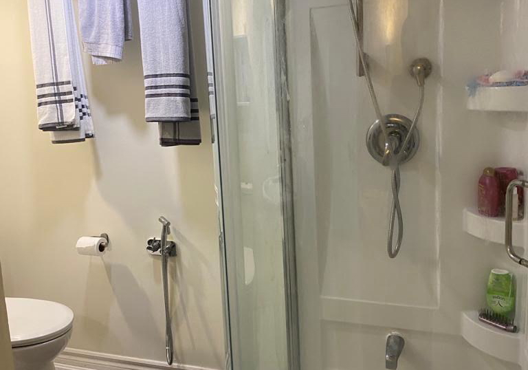 134-wesley-bsmt-street-newmarket-ontario-n13413284