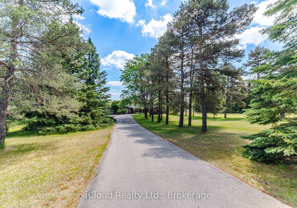 1939-county-road-50-adjala-tosorontio-ontario-n13424210