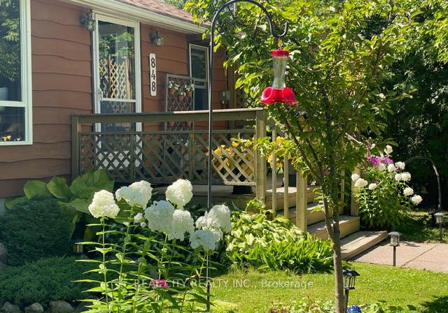 848-crescent-beach-road-nw-georgina-ontario-n13428528