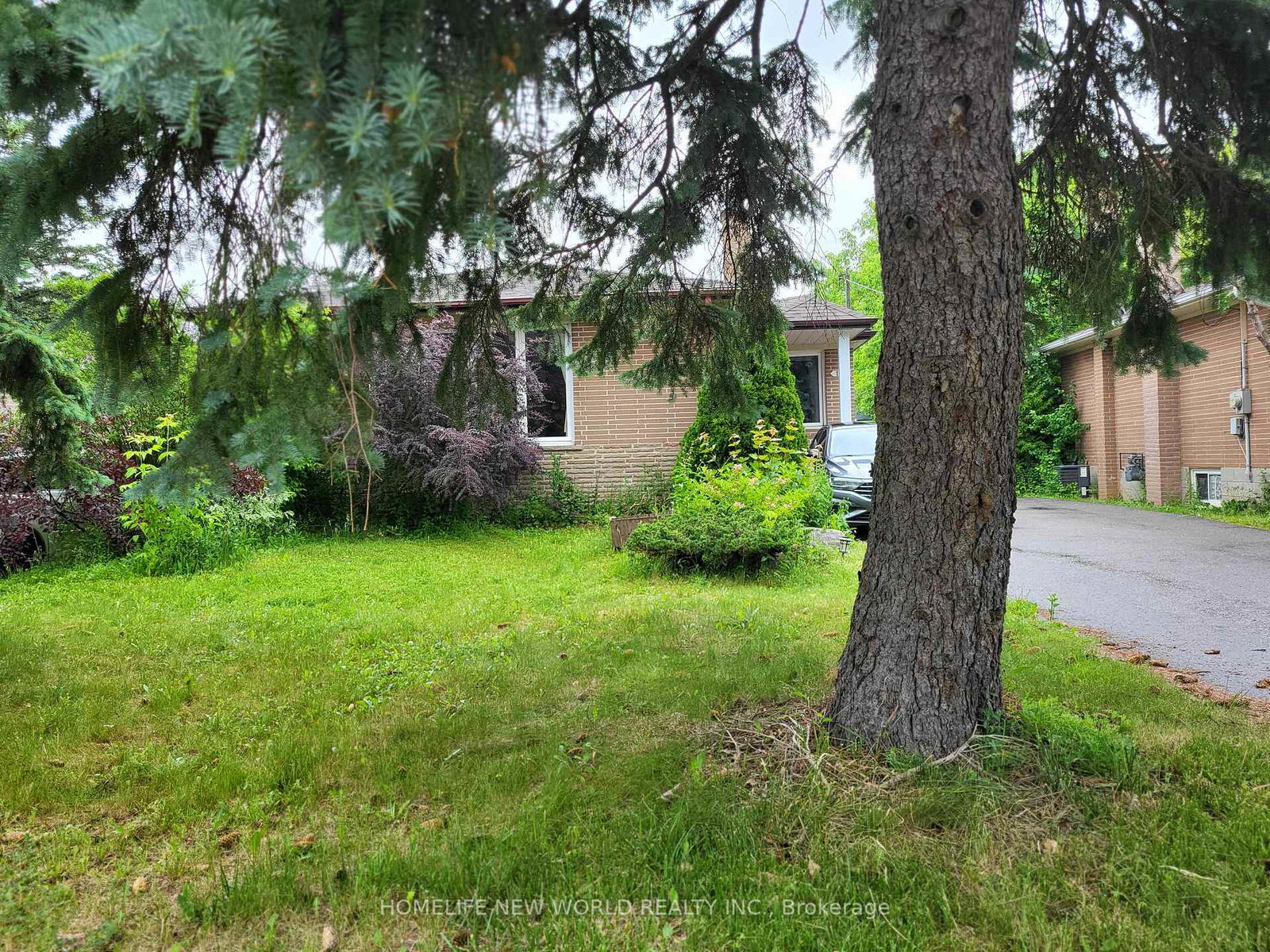 118-cartier-crescent-richmond-hill-ontario-n13454030