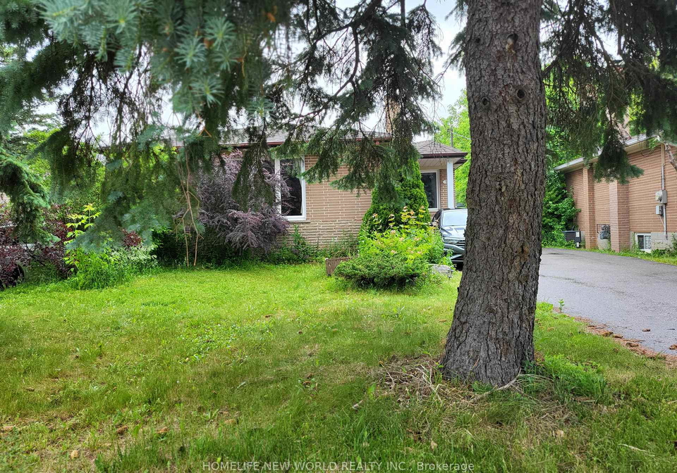 118-cartier-crescent-richmond-hill-ontario-n13454030