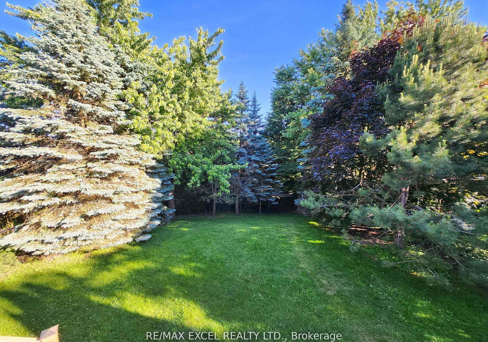 316-alex-doner-drive-newmarket-ontario-n13455668