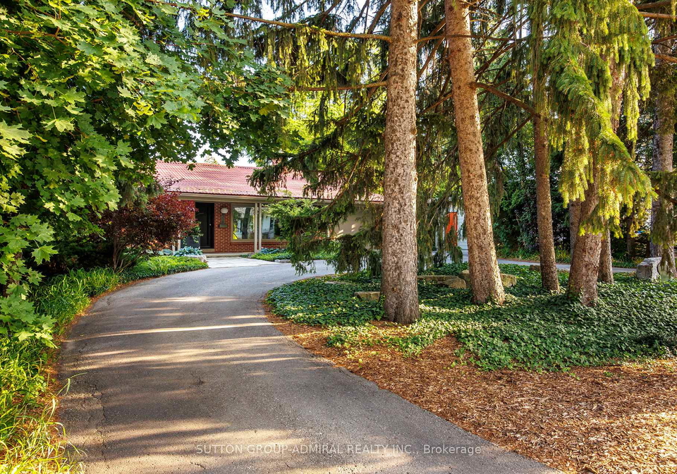 238-mill-street-richmond-hill-ontario-n13459814