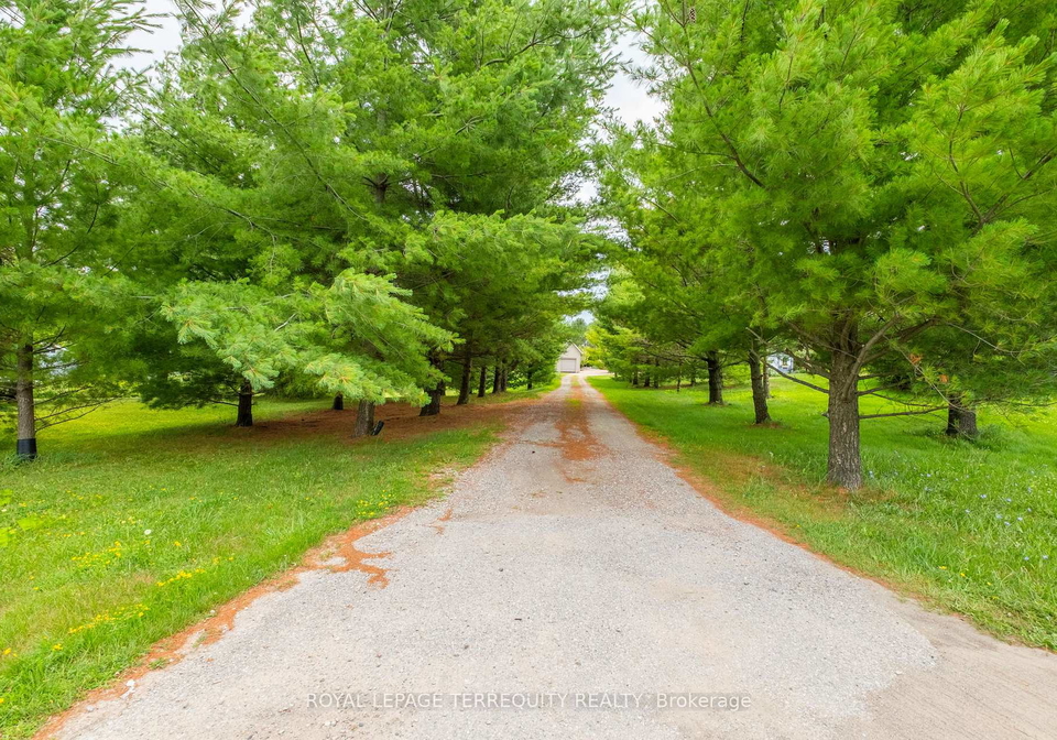 1041-15-side-road-new-tecumseth-ontario-n13462586