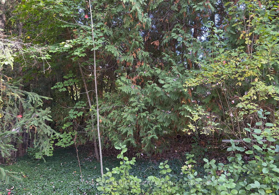117-westwood-lane-richmond-hill-ontario-n13482974