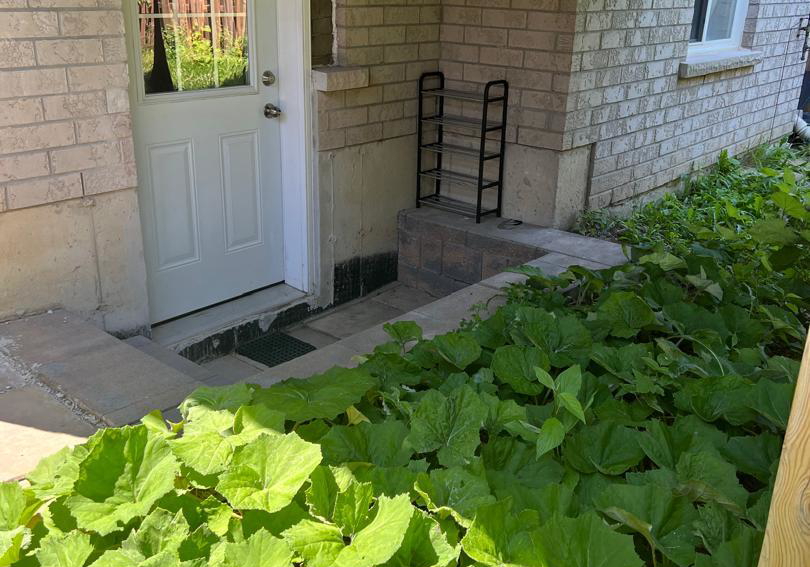 334-ritas-avenue-newmarket-ontario-n13484804