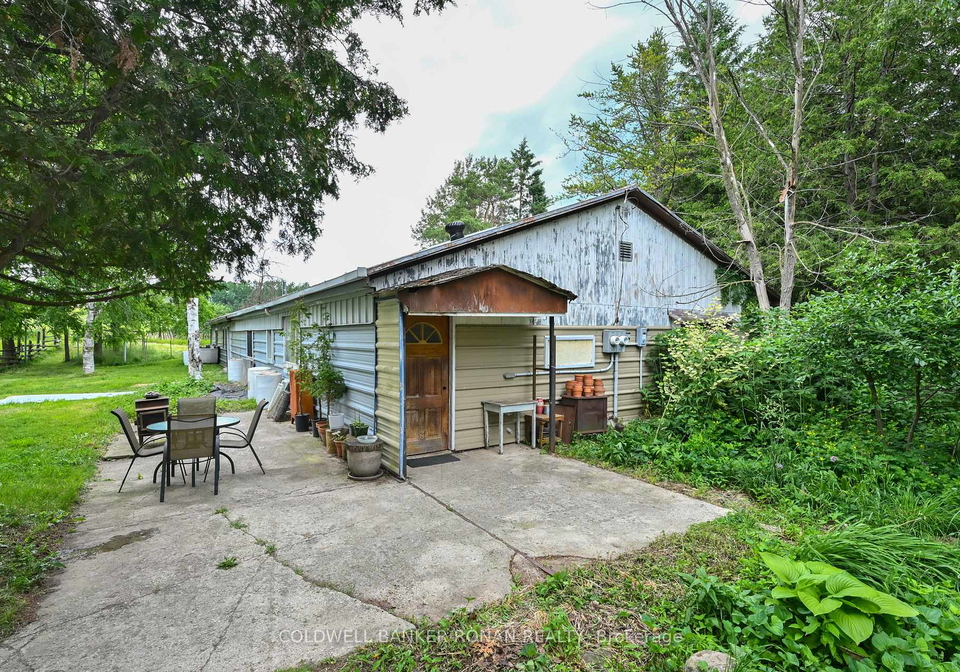 6497-3rd-line-essa-ontario-n13491230