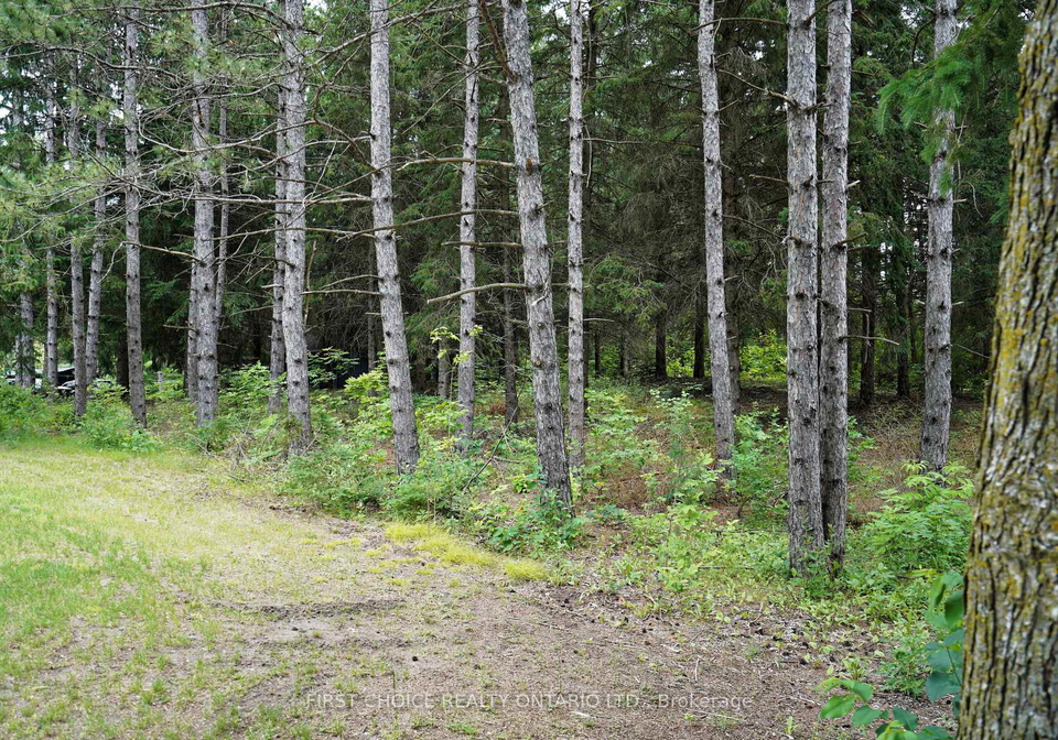 1890-concession-road-7-concession-adjala-tosorontio-ontario-n13491358