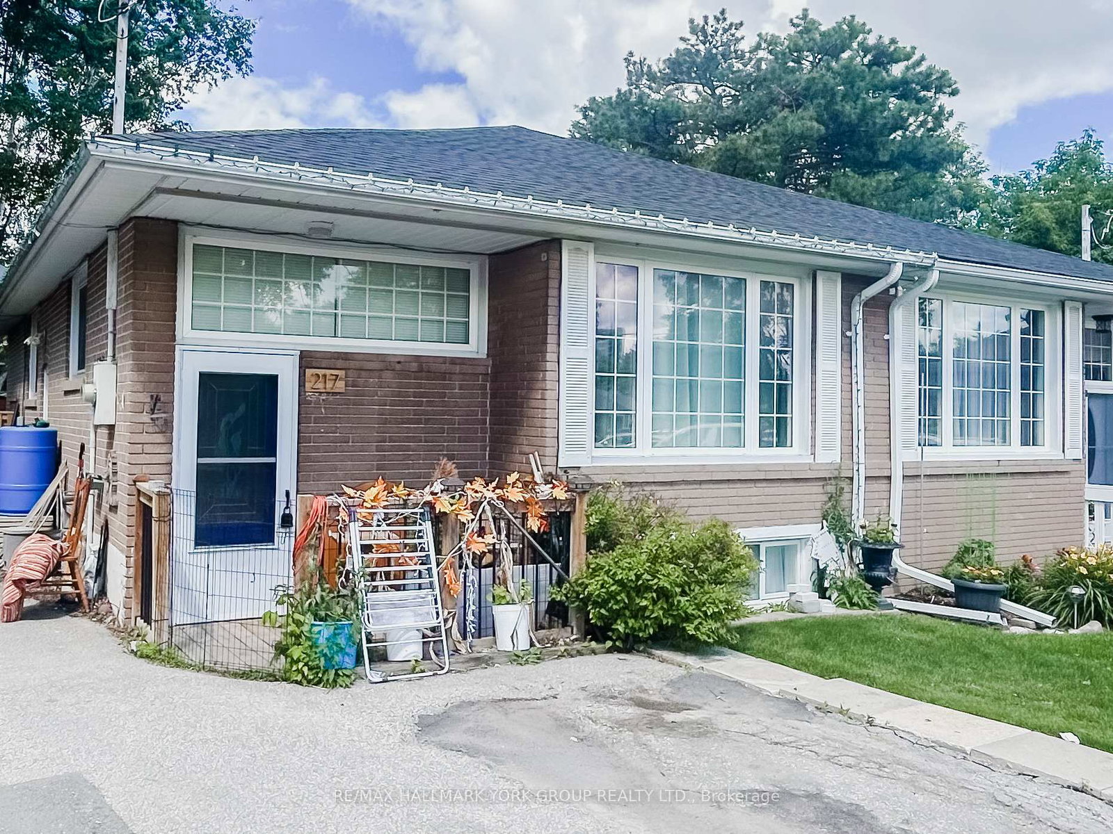 217-septonne-avenue-newmarket-ontario-n13492458
