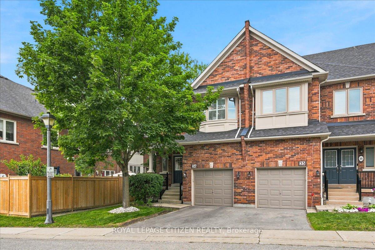 255-shaftsbury-avenue-richmond-hill-ontario-n13501422