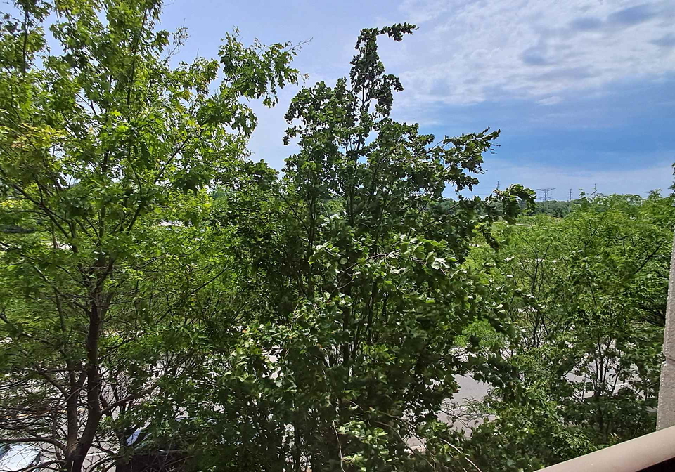 39-galleria-parkway-markham-ontario-n13504186