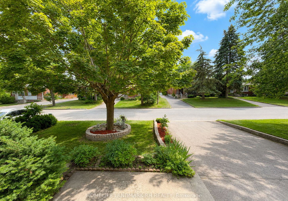 321-skopit-road-richmond-hill-ontario-n13509980