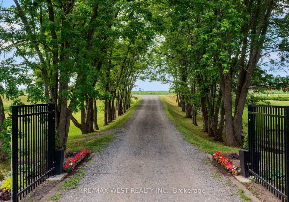 7324-highway-9-road-s-new-tecumseth-ontario-n13523082