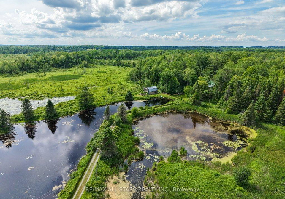 9388-ravenshoe-road-georgina-ontario-n13523282