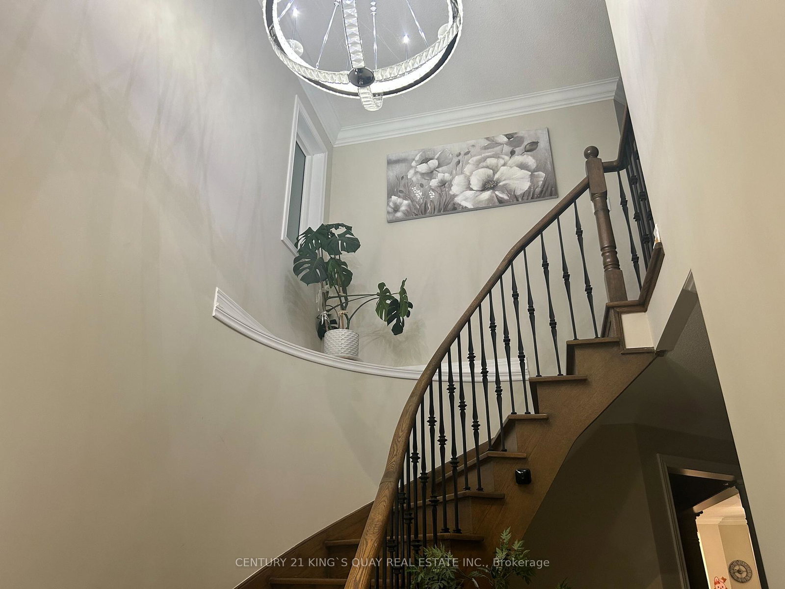 52-brockdale-street-richmond-hill-ontario-n13539584