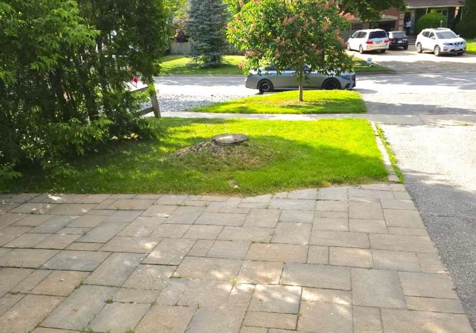 21b-south-balsam-street-uxbridge-ontario-n13554004