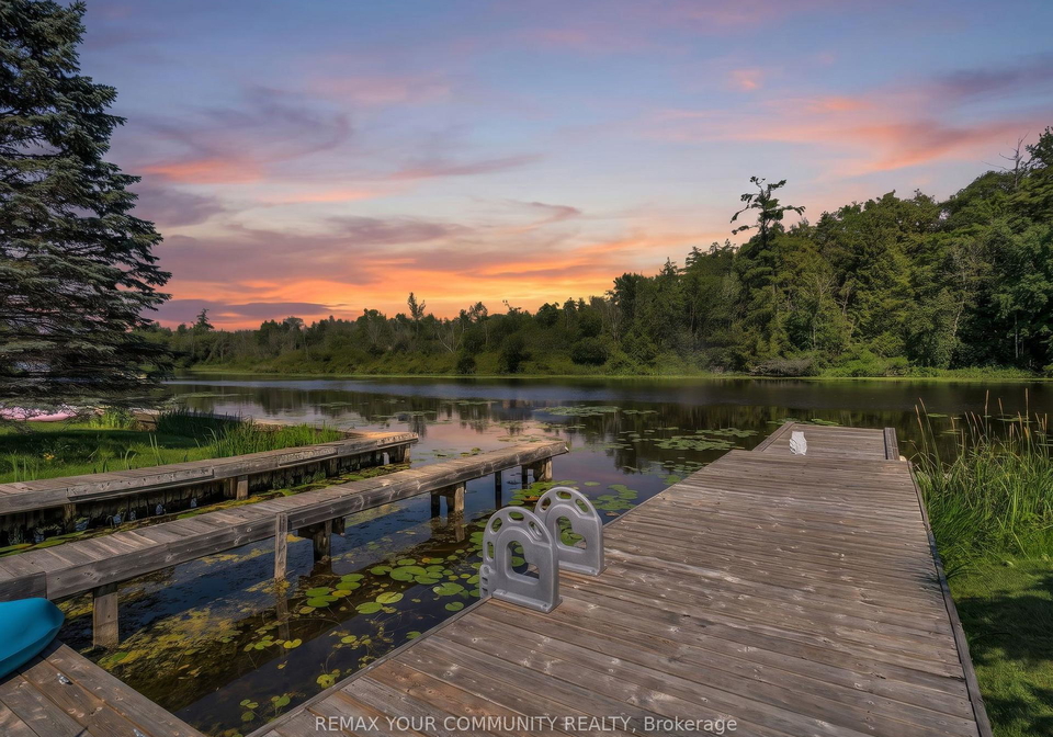111-sibbald-crescent-e-georgina-ontario-n13557034