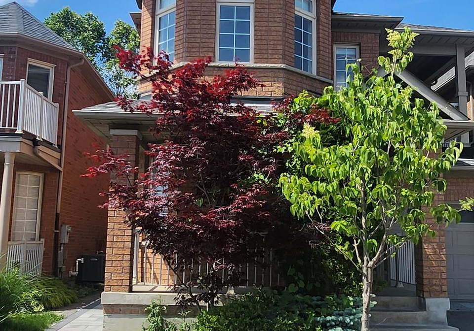 51-waldron-crescent-richmond-hill-ontario-n13577850