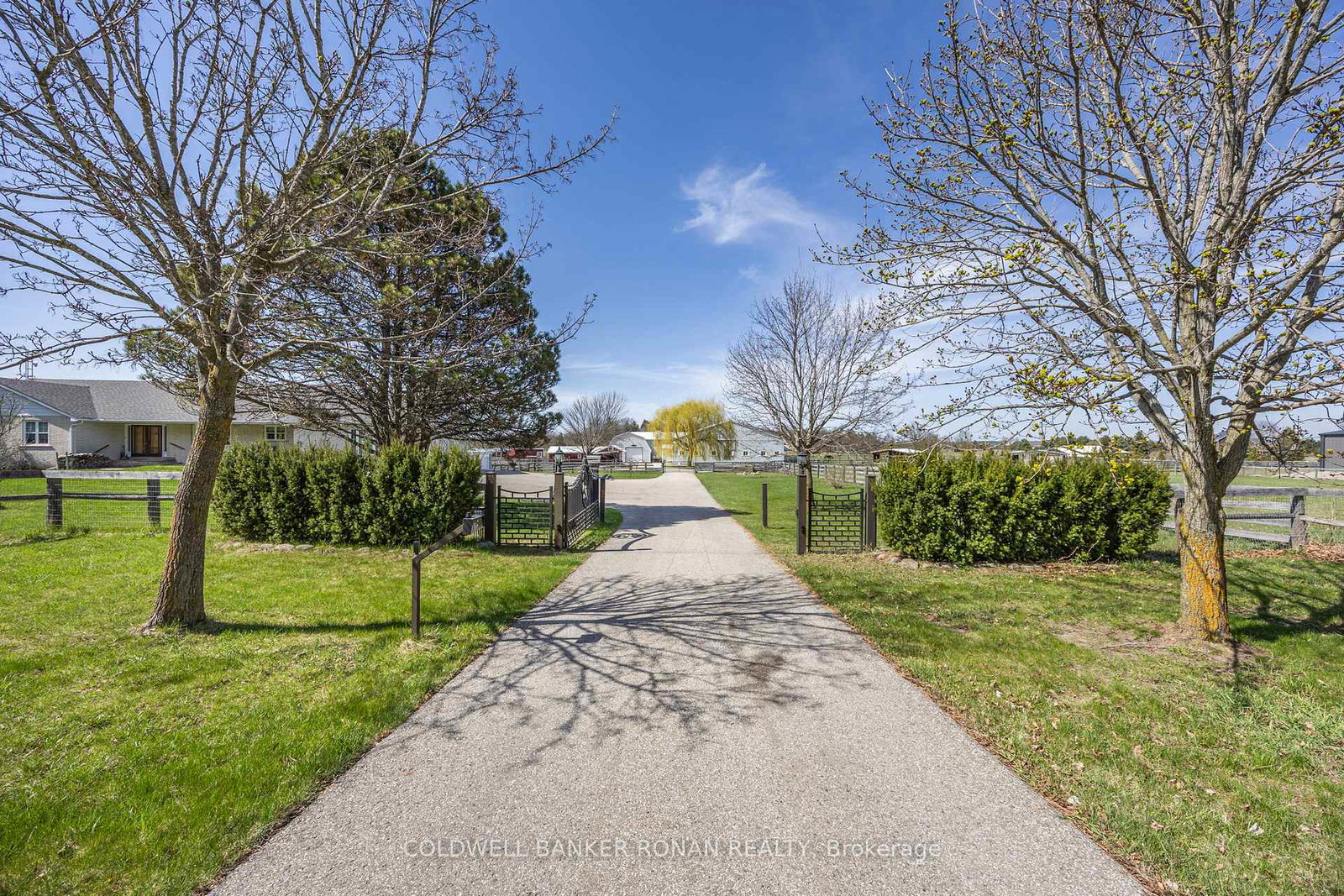 8058-20th-side-road-adjala-tosorontio-ontario-n13580044
