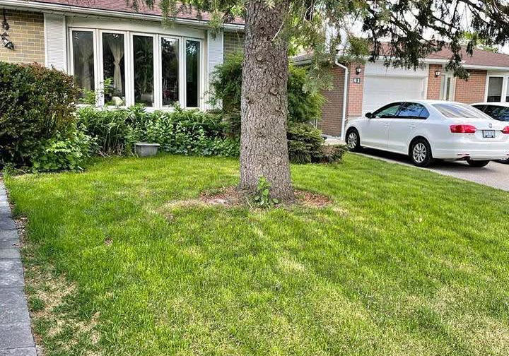 39-devins-drive-aurora-ontario-n13595348