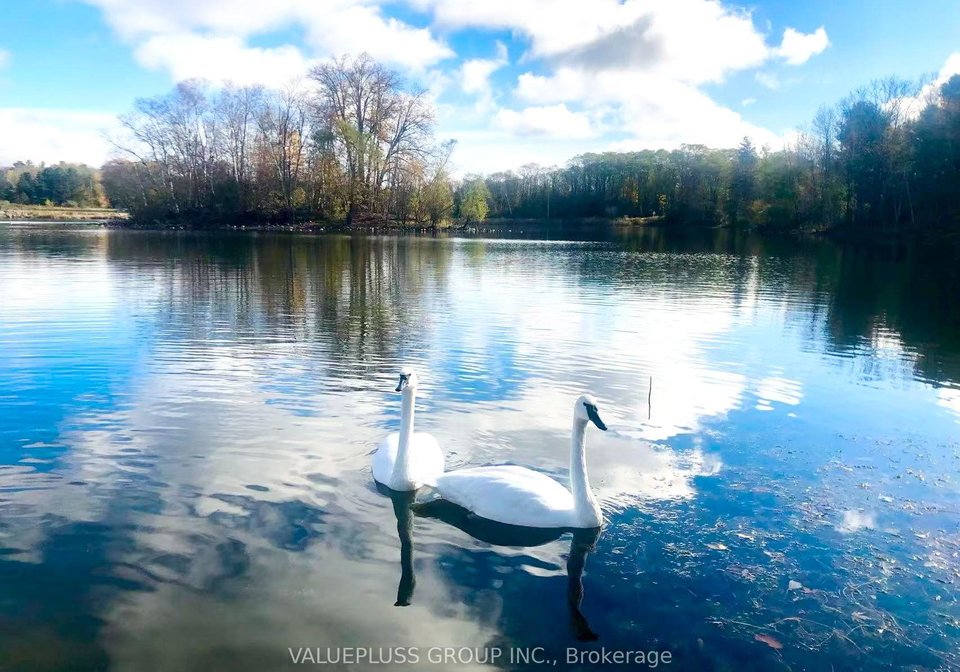 9-island-lake-drive-whitchurch-stouffville-ontario-n13596018