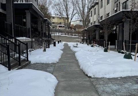 11-baynes-way-bradford-west-gwillimbury-ontario-n13596824