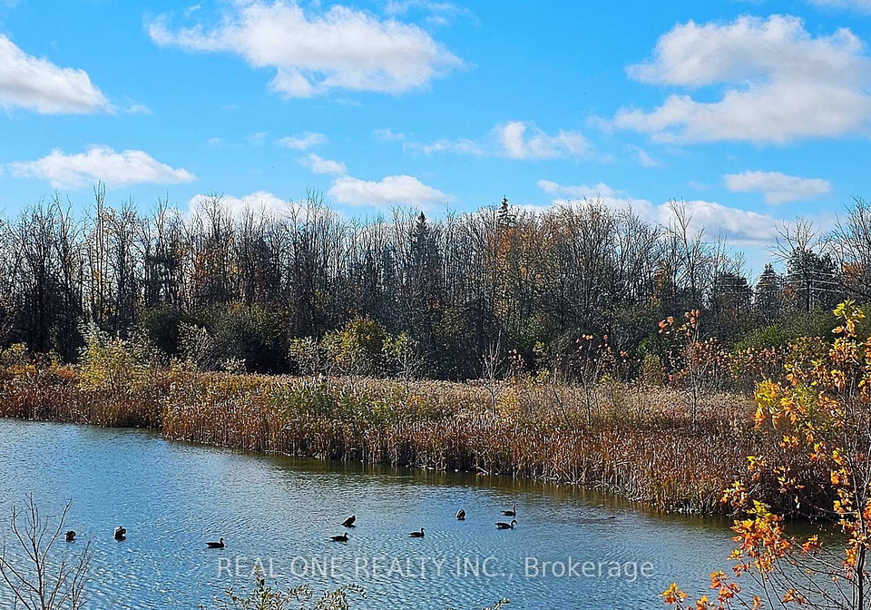 85-riley-reed-lane-richmond-hill-ontario-n13607050