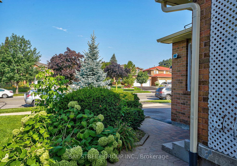 169-killian-road-vaughan-ontario-n13615652