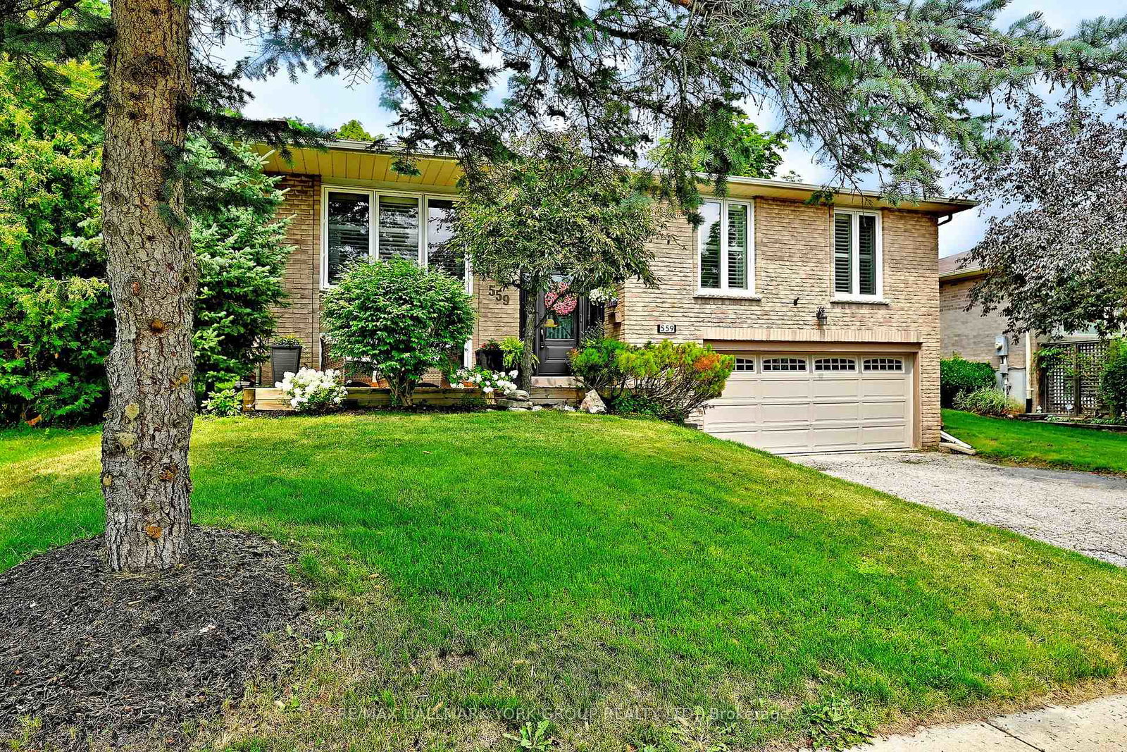 559-haines-road-newmarket-ontario-n13616358