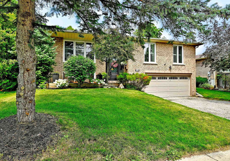 559-haines-road-newmarket-ontario-n13616358