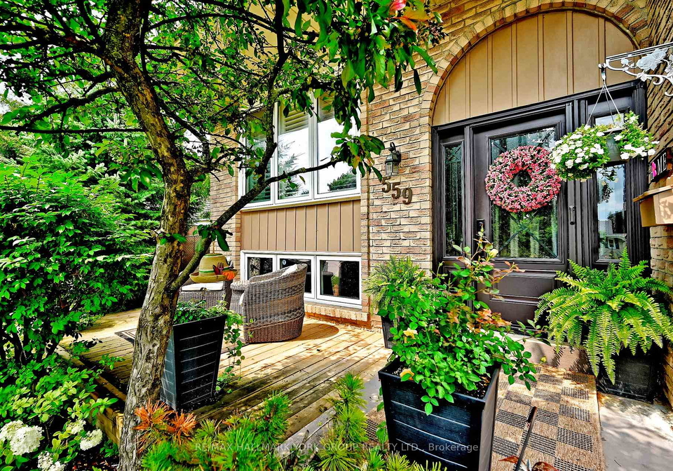 559-haines-road-newmarket-ontario-n13616358