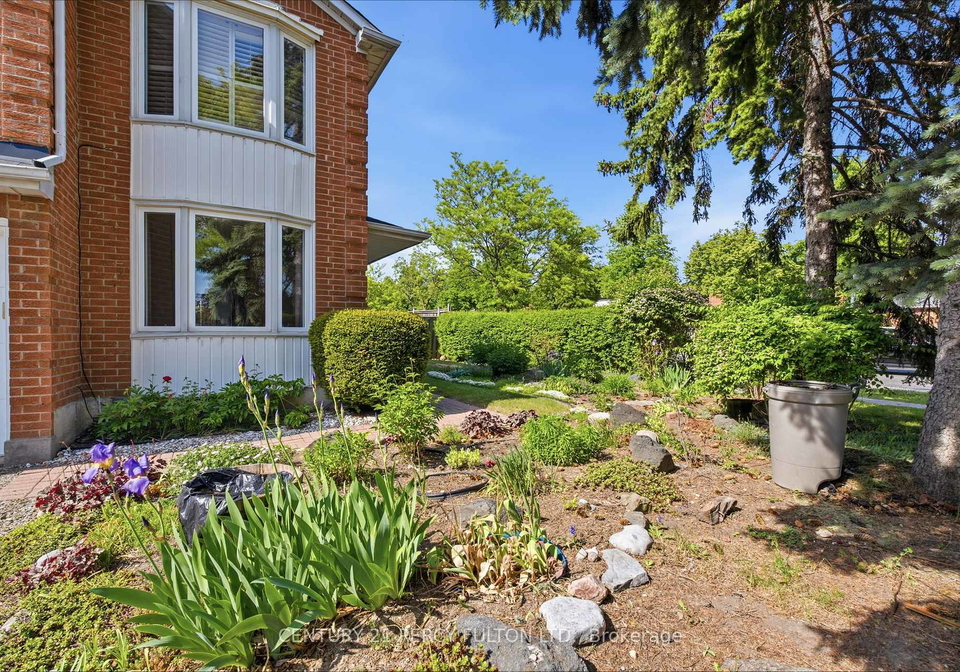 208-conley-street-vaughan-ontario-n13624874
