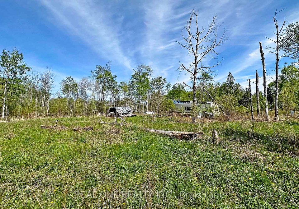 4778-holborn-road-east-gwillimbury-ontario-n13629538