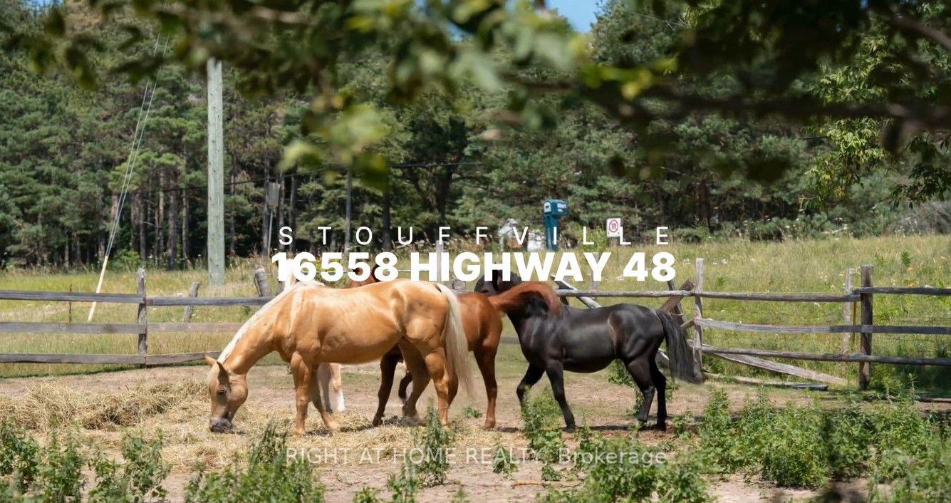 16558-highway-48-whitchurch-stouffville-ontario-n13629672
