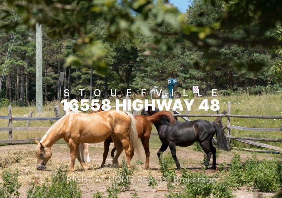 16558-highway-48-whitchurch-stouffville-ontario-n13629672