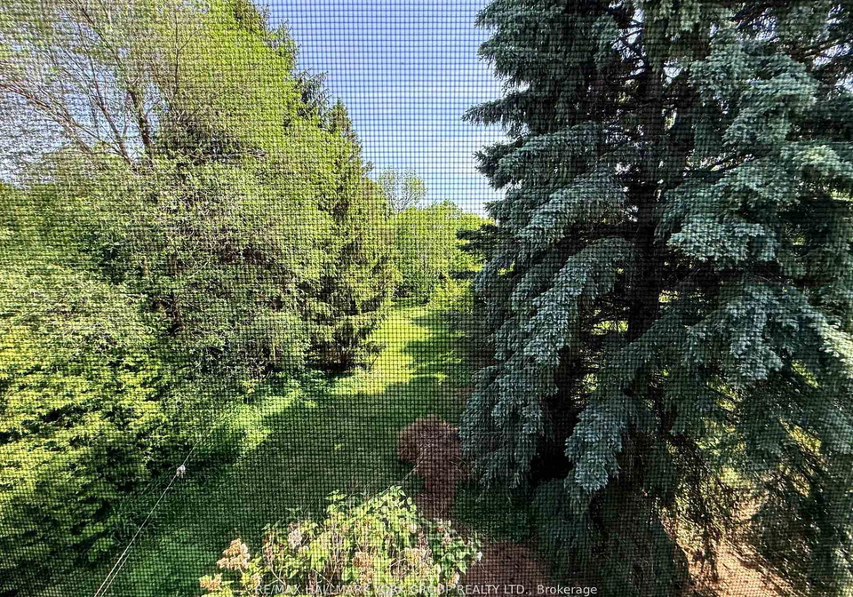 75-spruce-avenue-richmond-hill-ontario-n13640034