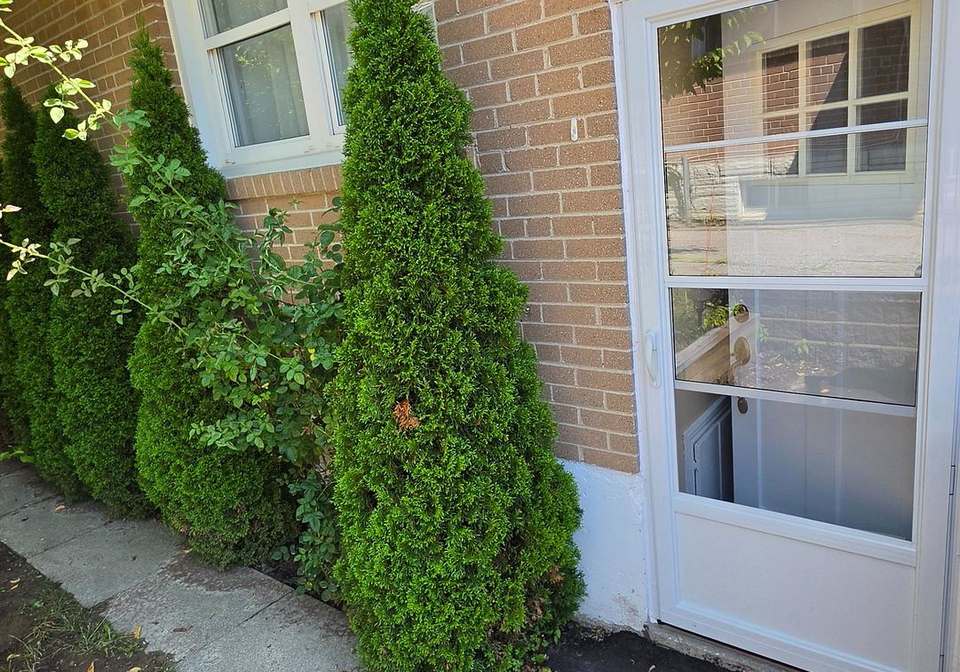 187-septonne-avenue-newmarket-ontario-n13641838