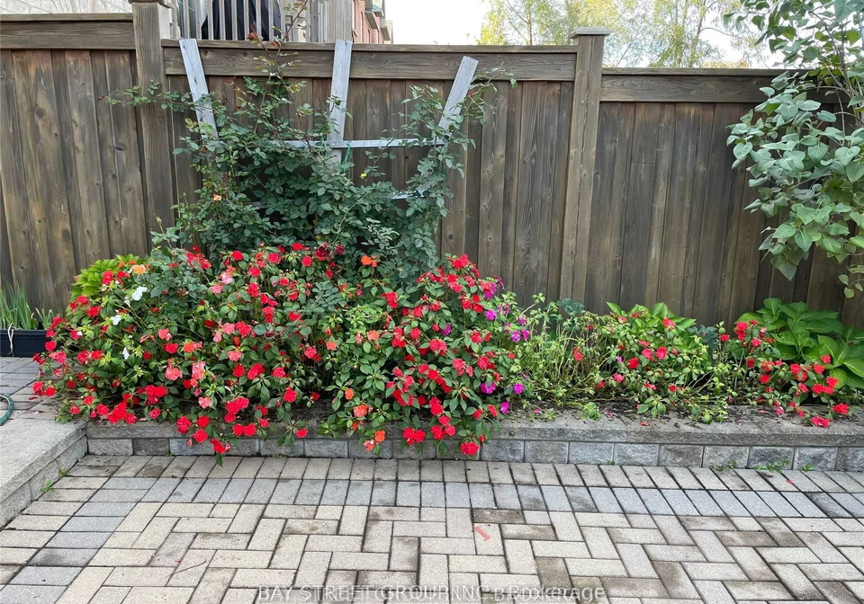 56-albright-lower-court-richmond-hill-ontario-n13655396