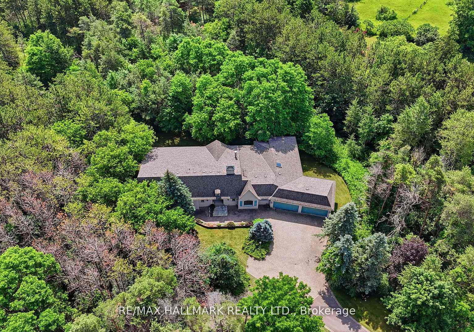 18381-mccowan-road-east-gwillimbury-ontario-n13666808