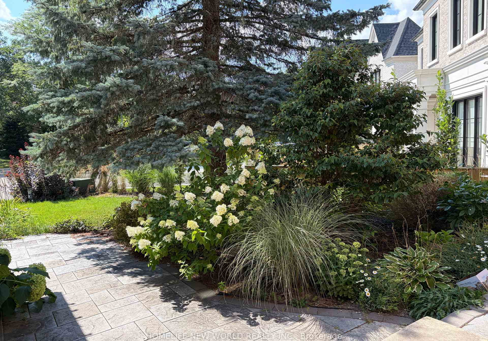 23-lacey-court-aurora-ontario-n13678858