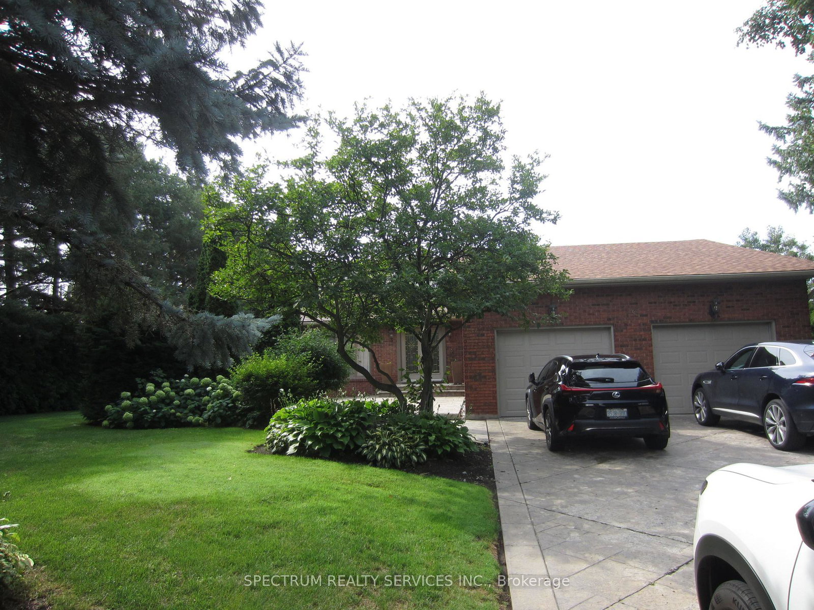 135-hayhoe-avenue-vaughan-ontario-n13682242