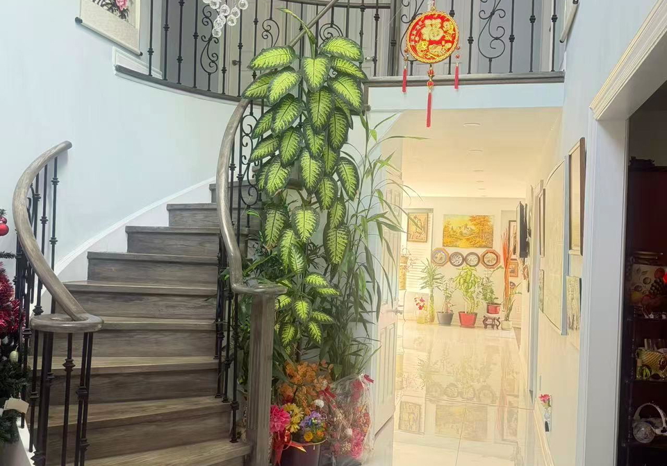 16-brooklyn-crescent-markham-ontario-n13693788