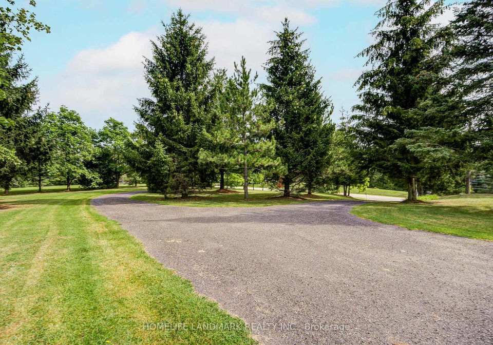 1098-15th-side-road-new-tecumseth-ontario-n13694288