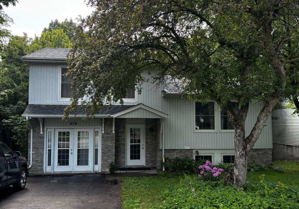 278-waratah-avenue-newmarket-ontario-n13720960