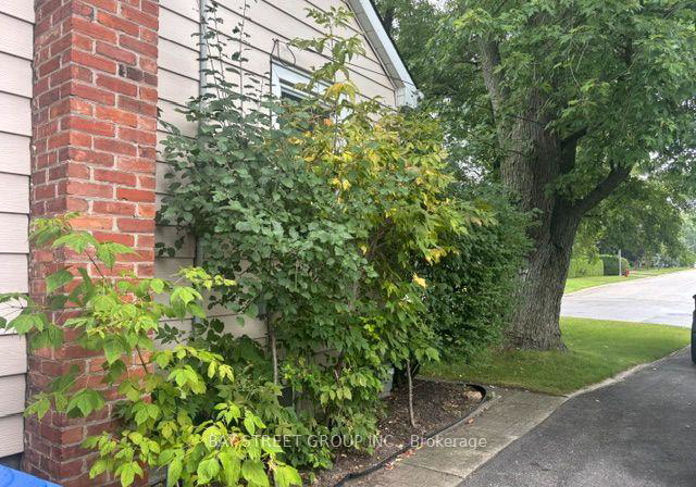 320-stewart-street-newmarket-ontario-n13726614